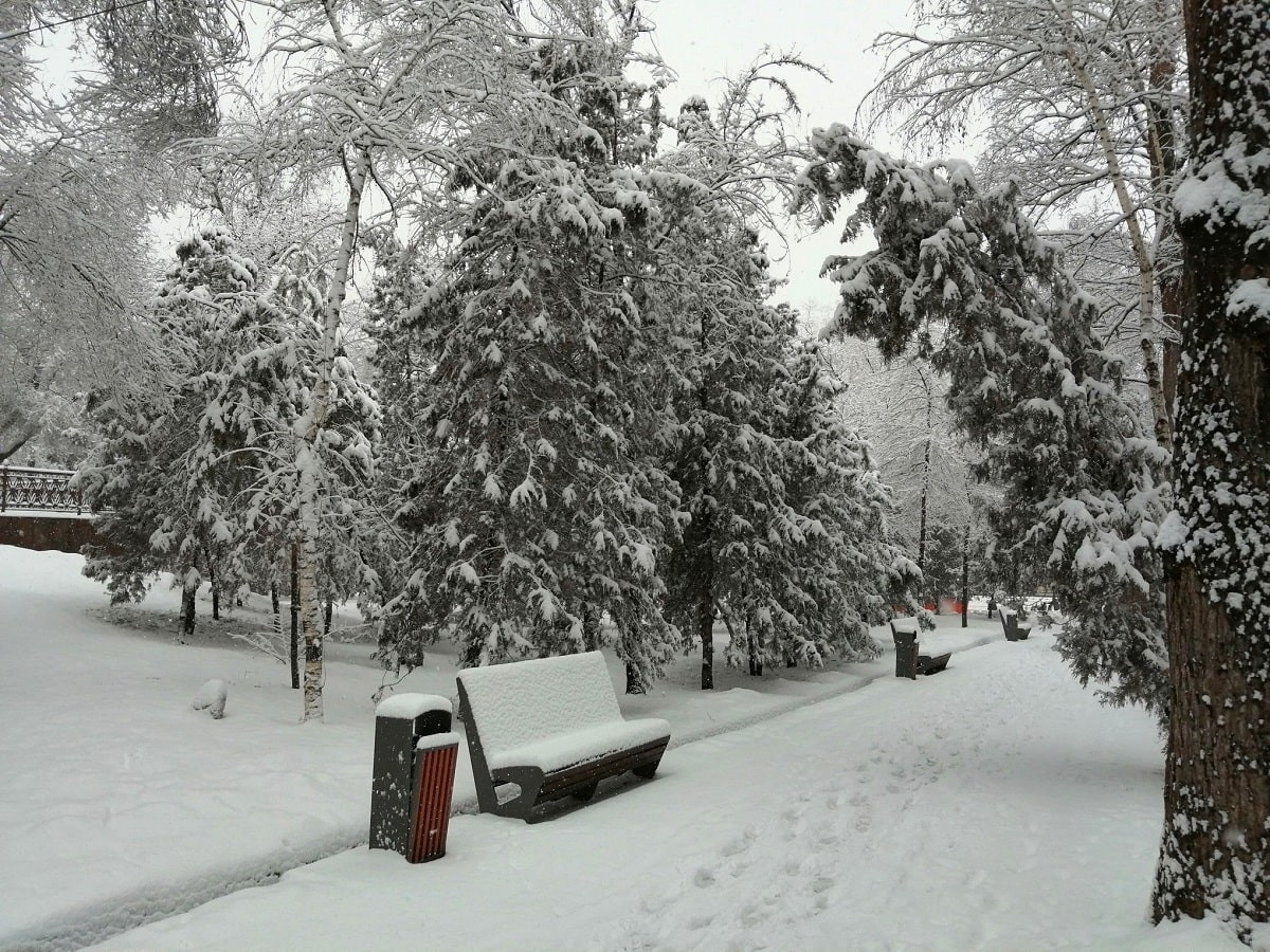 Погода в Алматы с 28 ноября по 4 декабря 2022