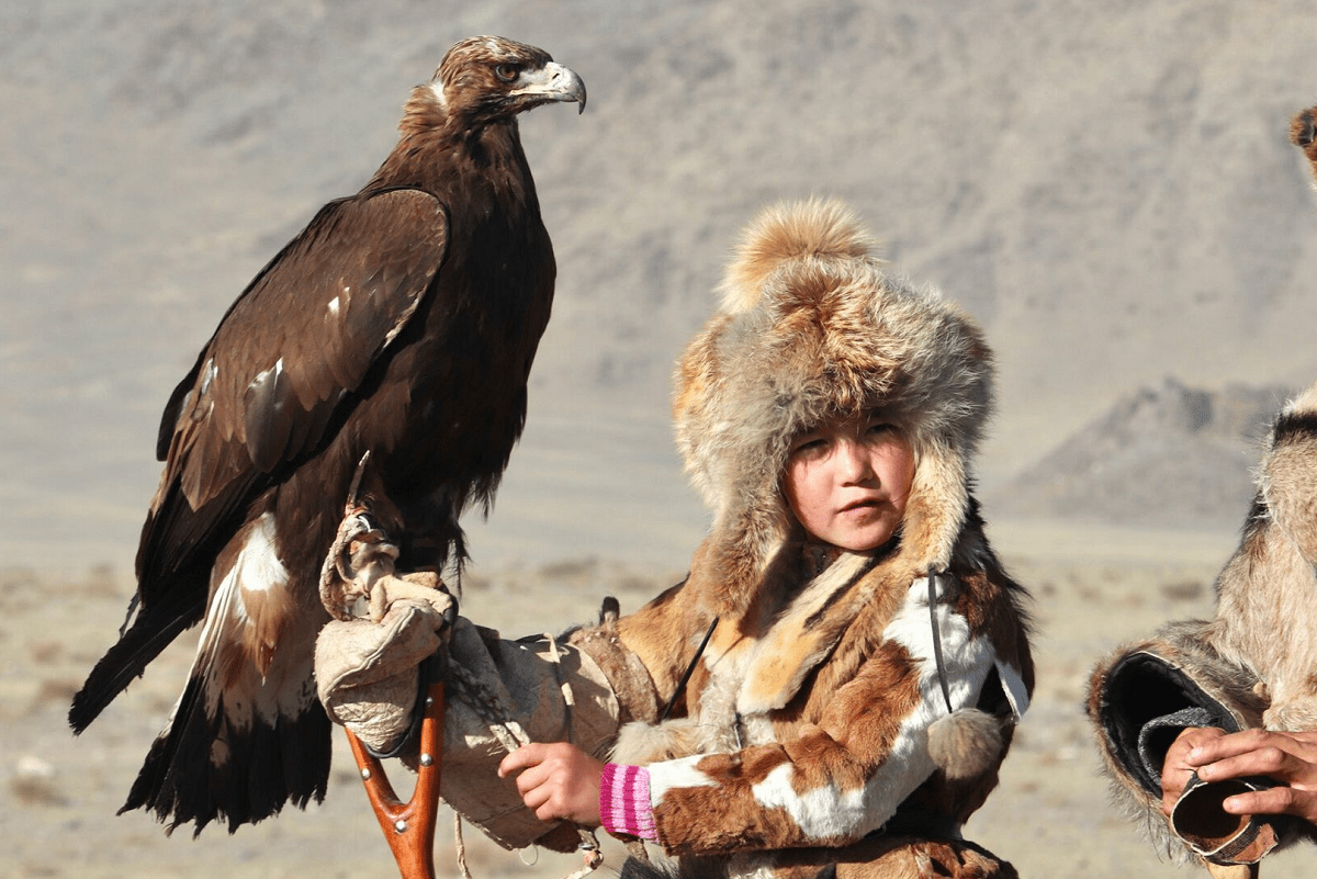 Ущерб на 888 млн тенге: из-за гибели птиц на сетях ЛЭП в Казахстане