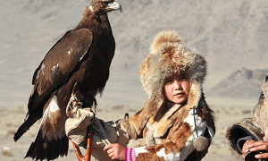 Ущерб на 888 млн тенге: из-за гибели птиц на сетях ЛЭП в Казахстане