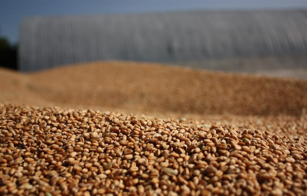 Неплохой аппетит: 35 тонн зерна украли двое сельчан в Павлодарской области