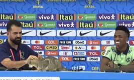 Неожиданный финт: сотрудник пресс-службы сборной Бразилии выбросил кошку на пресс-конференции