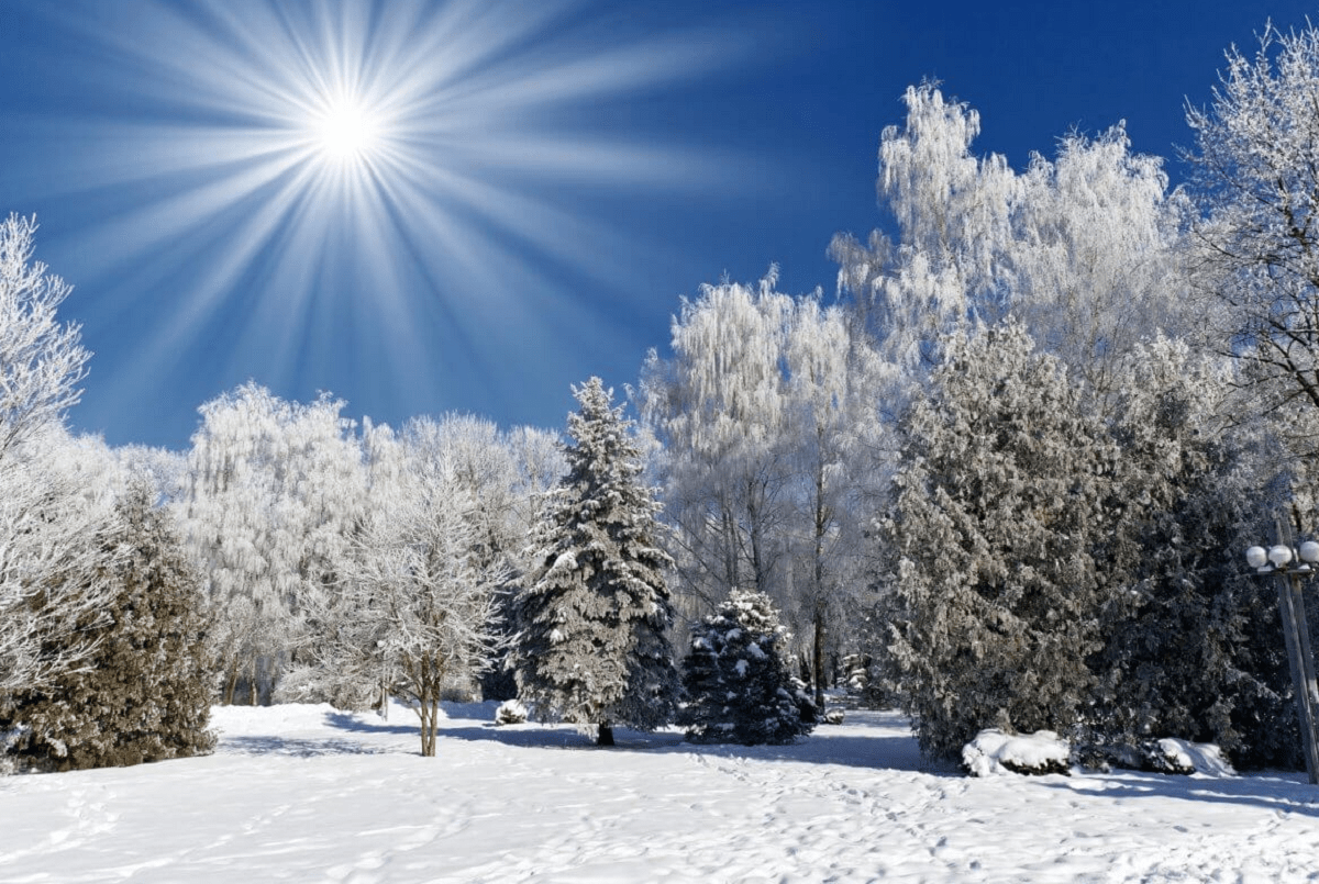 Какую погоду казахстанцам подарит первый месяц Нового года