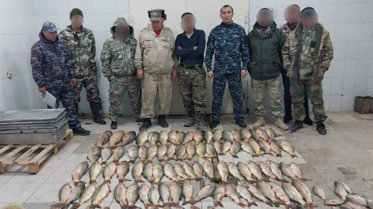 В Туркестанской области изъяли 160 килограммов незаконно выловленной рыбы 