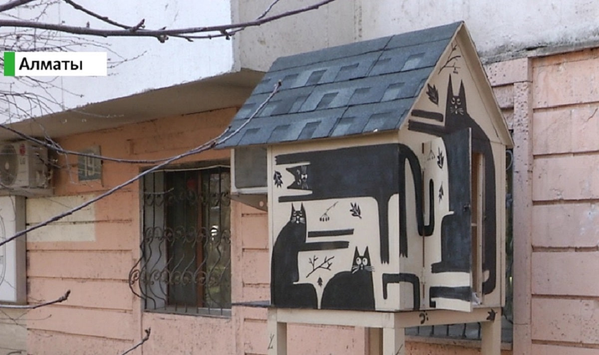 В Алматы появился первый специальный домик для кошек