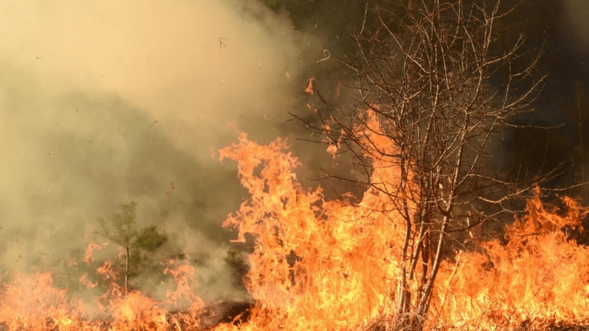 Лесные пожары в Испании: 1500 человек эвакуированы