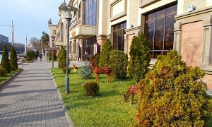 Алматы қаласы бойынша 27 наурыз бен 2 сәуір аралығындағы ауа райы болжамы