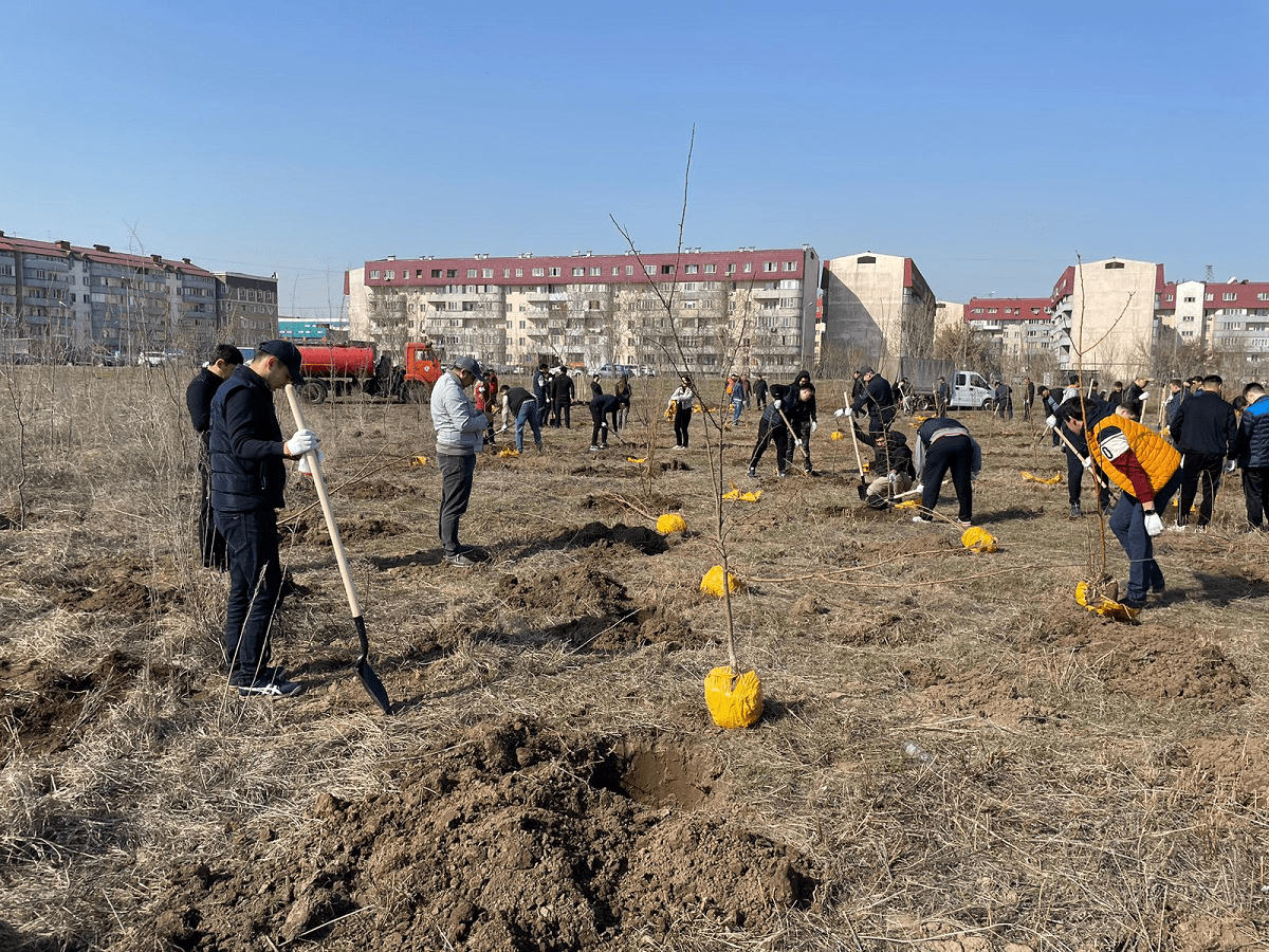 Более 10 тысяч деревьев высадят в Алматы весной