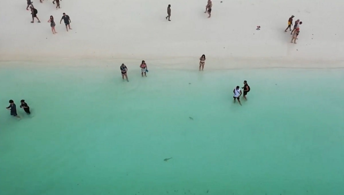 В море по колено: разрешили заходить туристам в Таиланде из-за акул