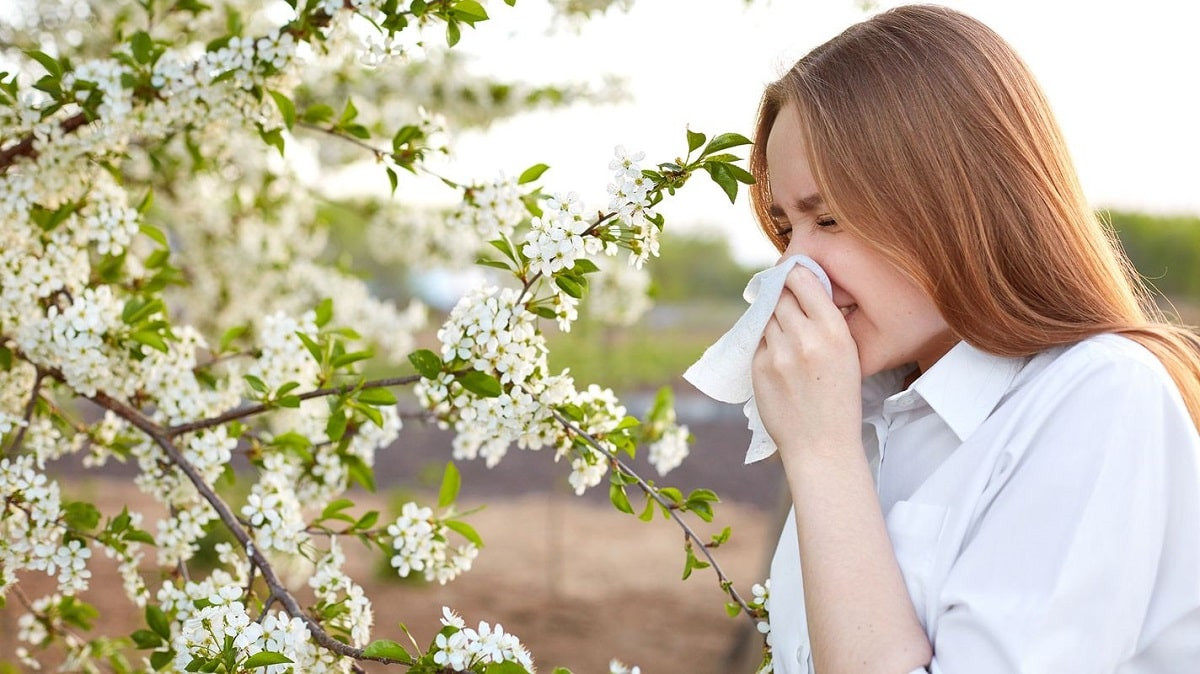 Весенний насморк: как отличить аллергию от ОРВИ