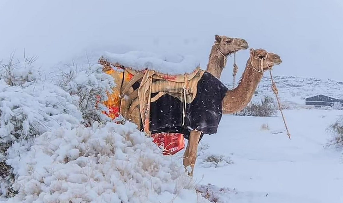 Погодная аномалия: Саудовскую Аравию завалило снегом