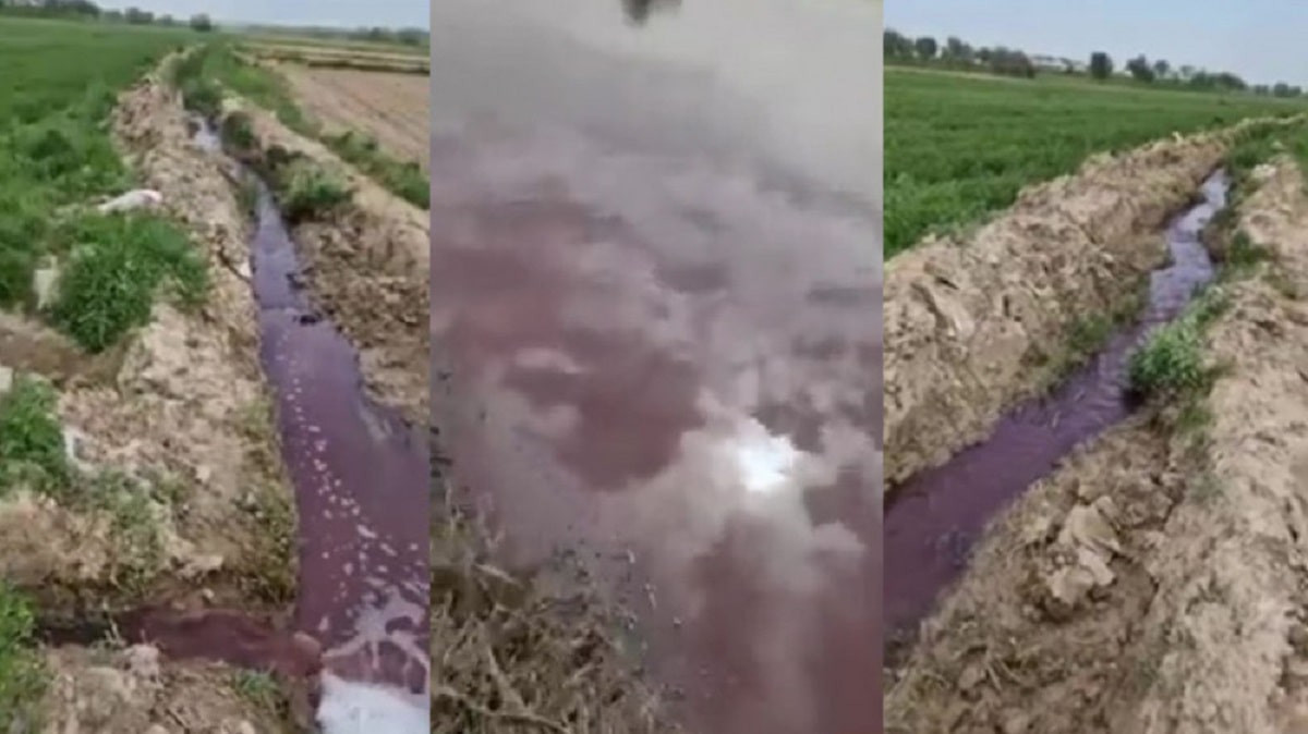 Водой с кровью орошают посевы жители Туркестанской области