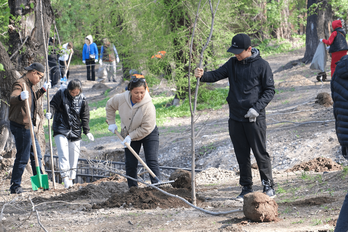 Сколько высажено деревьев на общегородском субботнике в Алматы