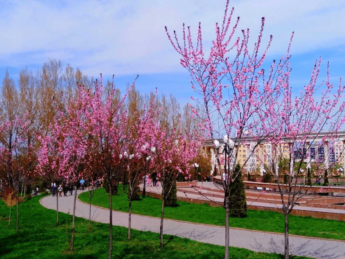 Погода в Алматы с 24 по 30 апреля 2023