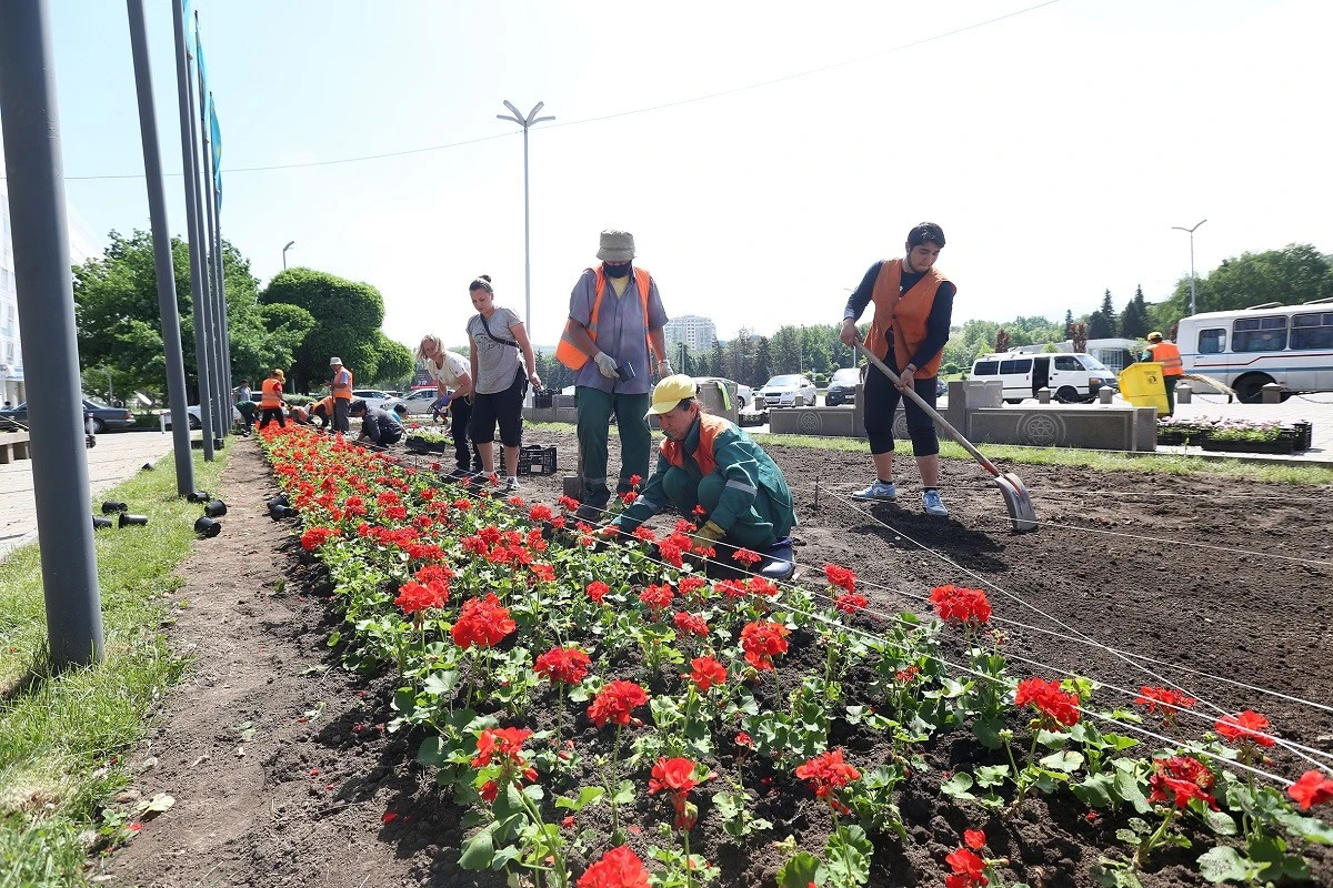 Чтобы город был краше: сколько цветов высадят в Алматы в этом году