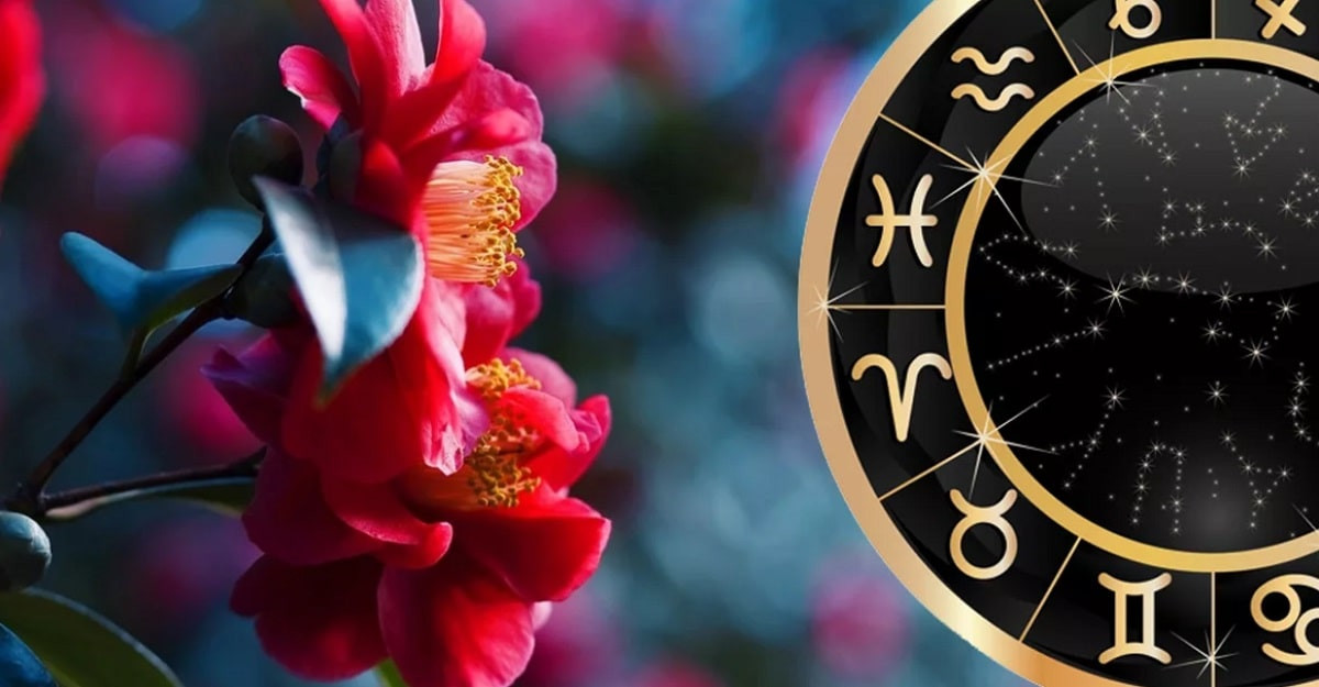 Кому астрологи пообещали удачу во вторник: гороскоп на 9 мая 2023