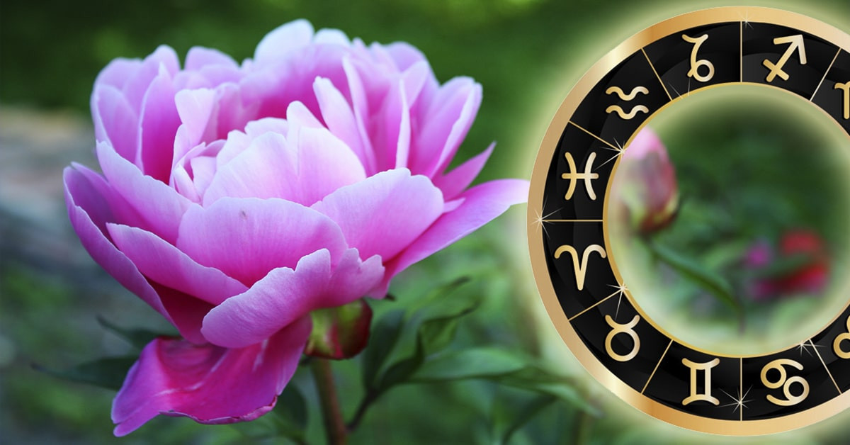 Кому астрологи пообещали удачу во вторник: гороскоп на 16 мая 2023 