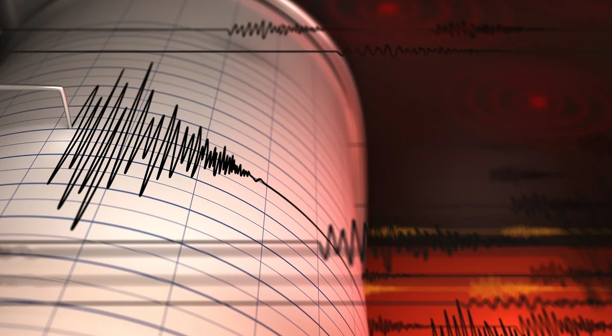 Землетрясение в Таджикистане зарегистрировали казахстанские сейсмологи