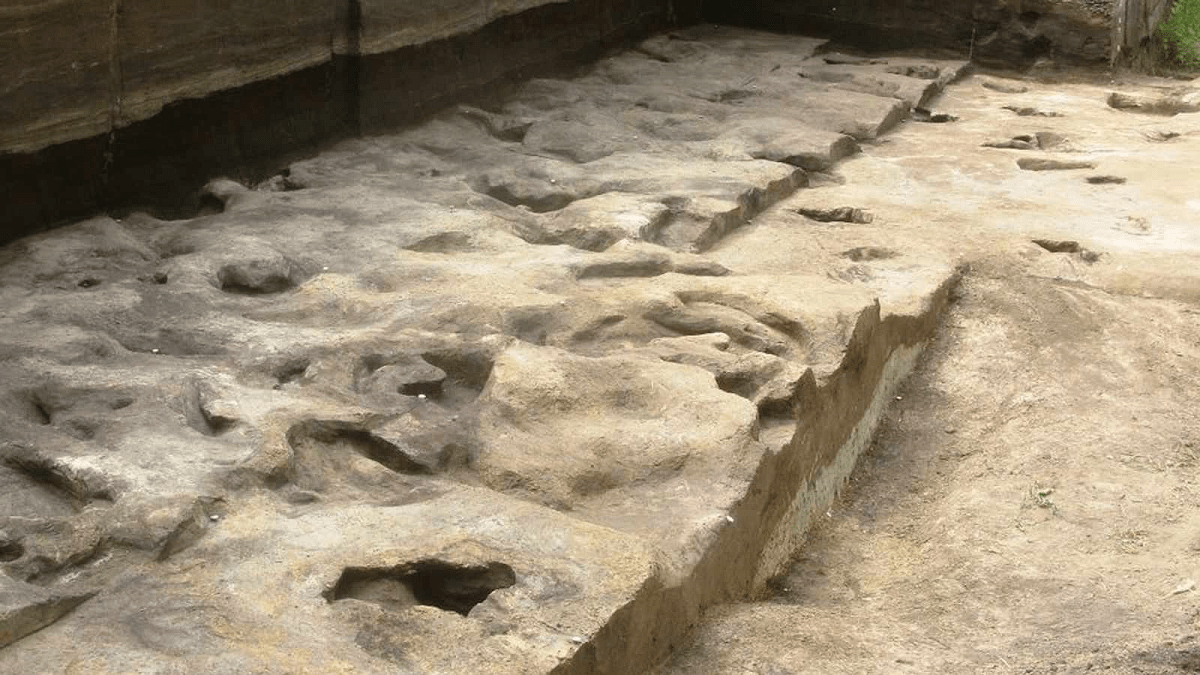 Самые древние следы человека нашли в Германии
