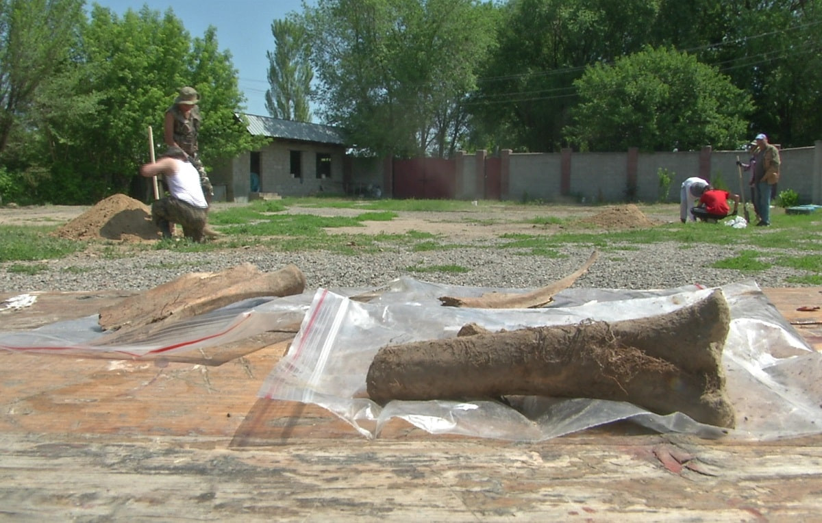 Человеческие останки продолжают находить на территории Алматинской области