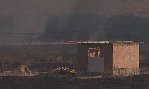 В зоне риска: домам, расположенным в горах Алматы, могут угрожать пожары