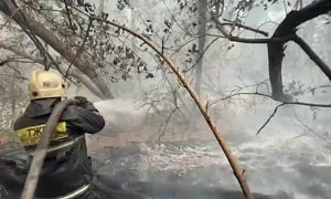 Лесной пожар: в области Абай эвакуировали жителей трёх сел