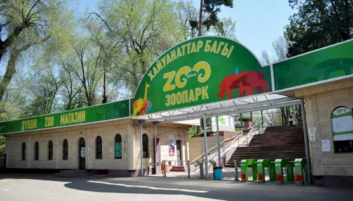 Всё по европейским стандартам: что изменится в Алматинском зоопарке