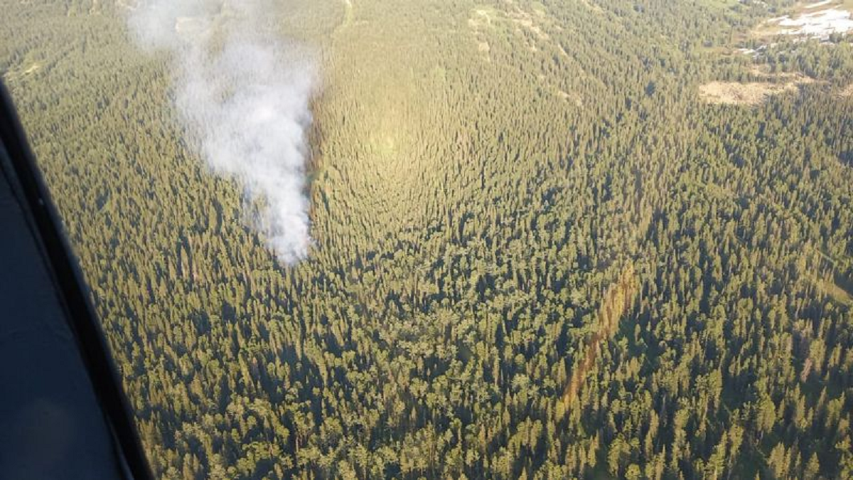 Лесной пожар тушат в заповеднике и нацпарке ВКО