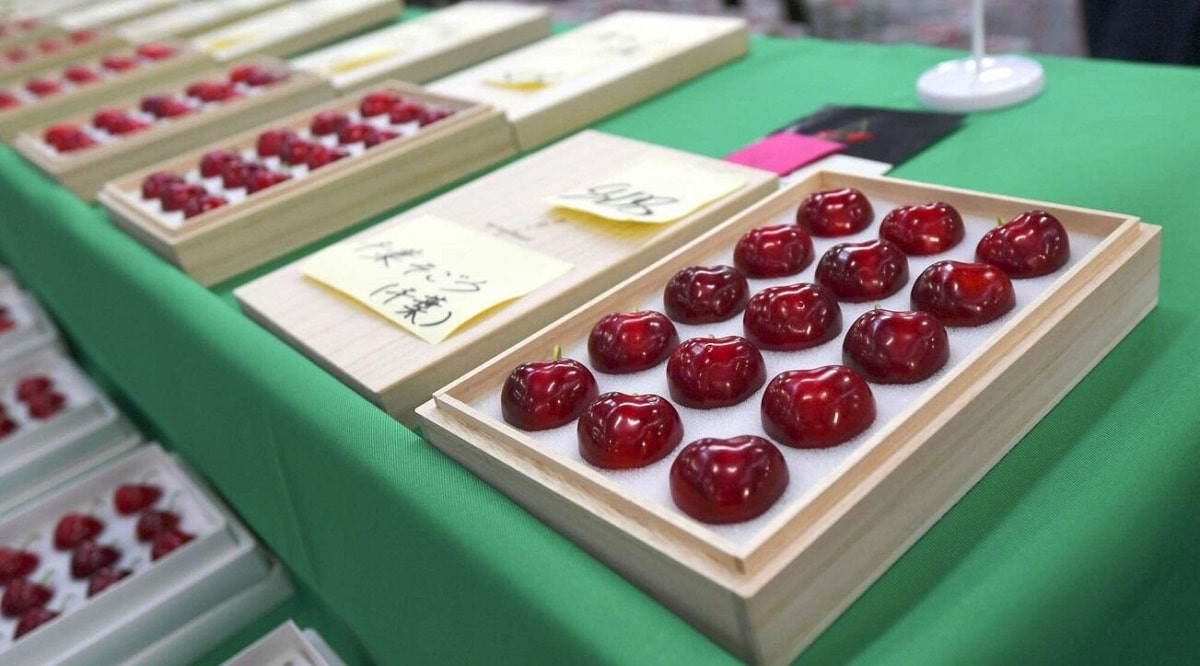   Дороже золота: в Японии 15 ягод черешни продали за несколько тысяч долларов