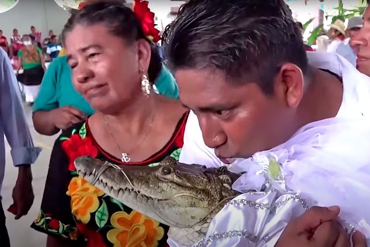 Не родись красивой: мэр города женился на крокодилице 