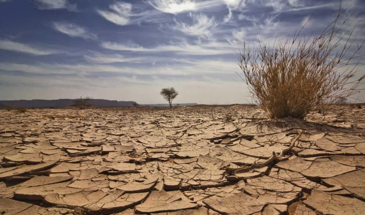 Казгидромет уточнил прогноз засухи на июль по Казахстану