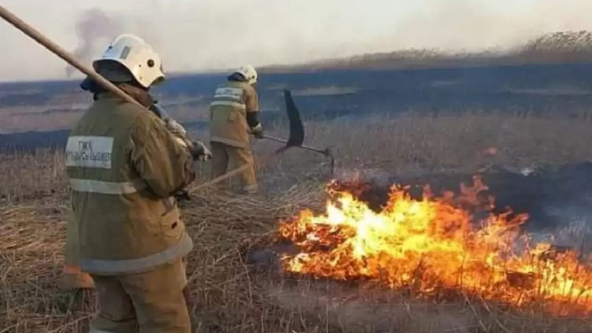 На побережье Каспия пожар: горит 10 гектаров камыша