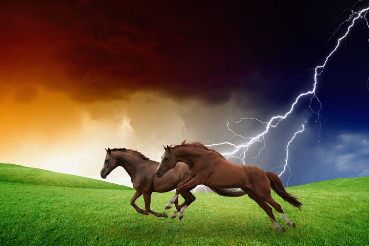 Табун лошадей погиб от удара молнии