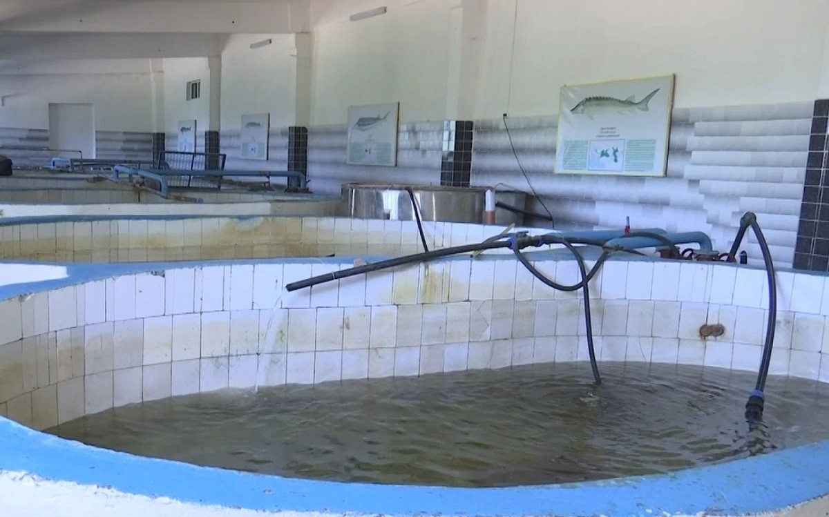 Единственный рыбзавод в Атырау нуждается в капитальном ремонте