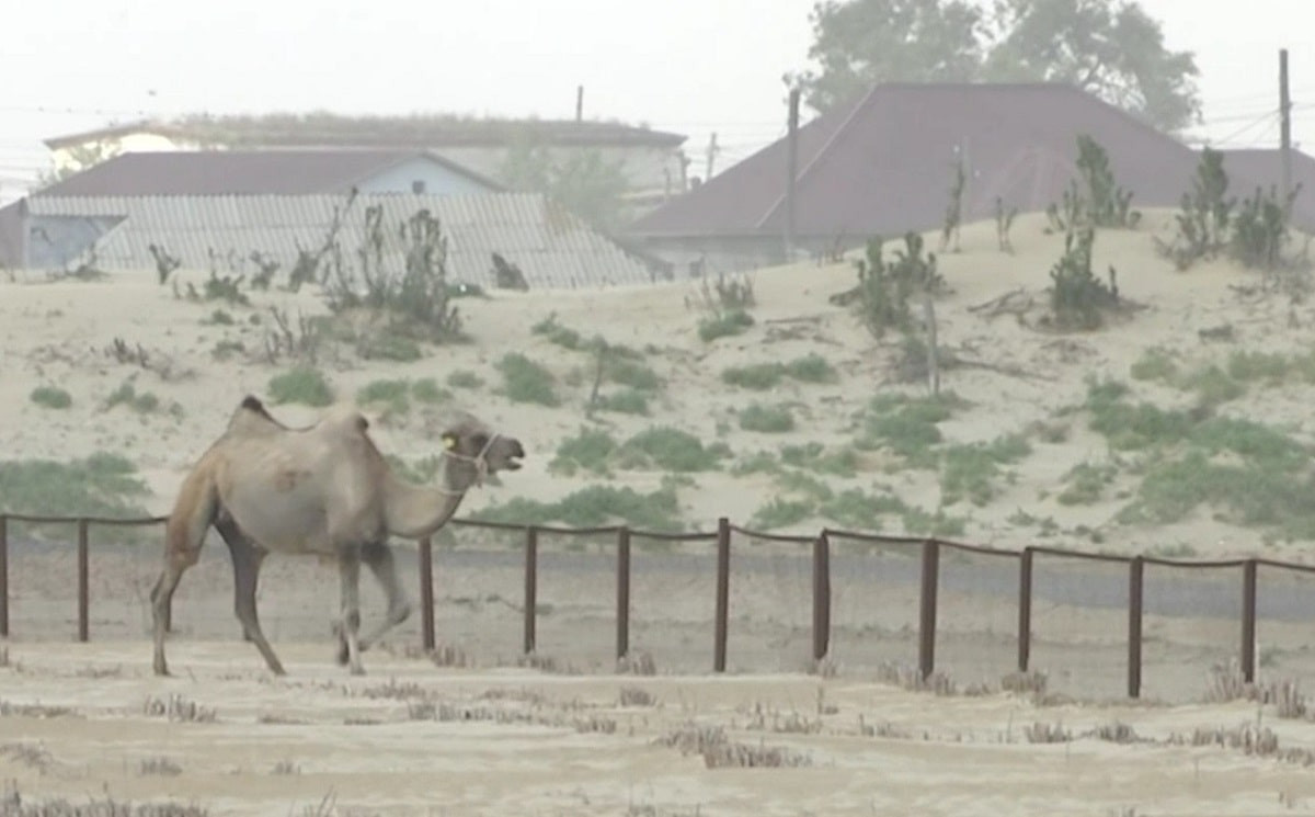 Кочующие барханы: несколько районов Атырау накрыло песком
