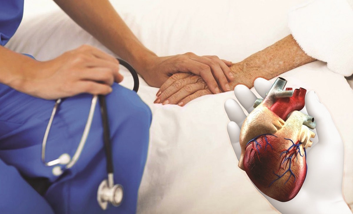 Донорское сердце игра психологическая. Фотография донорского сердца в реальности. Индия руки трансплантация. Донорство сердца