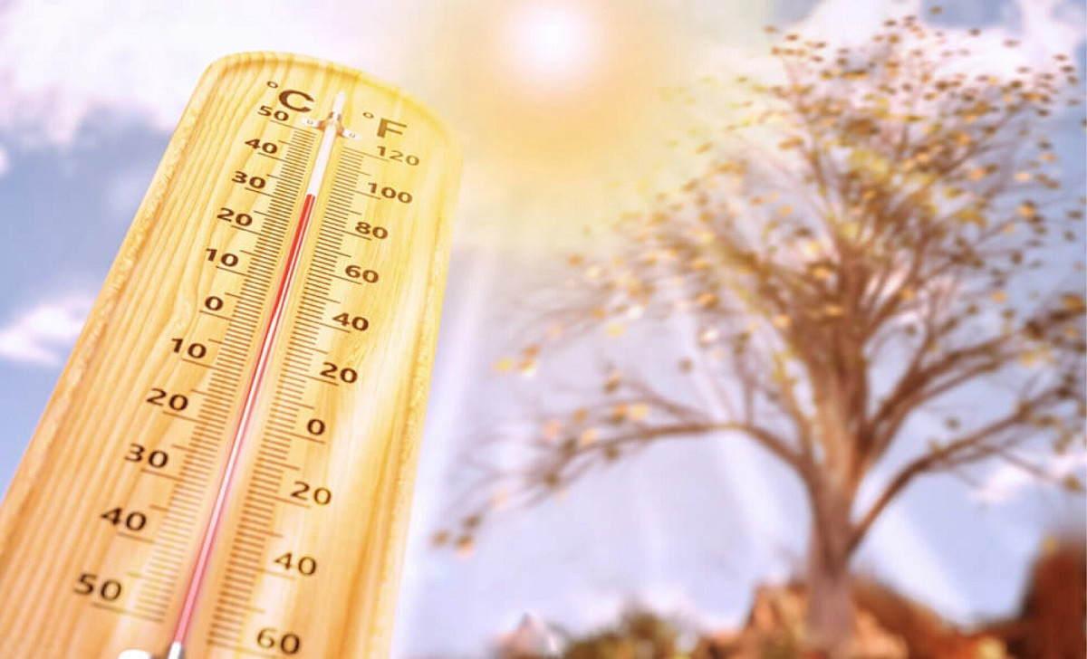 40-градусная жара ожидается 24 июля в Казахстане