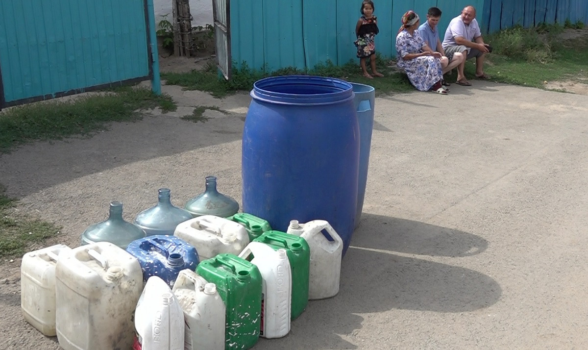 Село без воды: домашние животные с трудом выдерживают аномальную жару