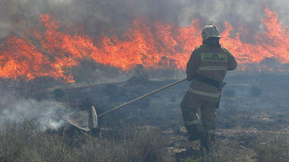 Возгорание сухостоя ликвидировали в области Улытау