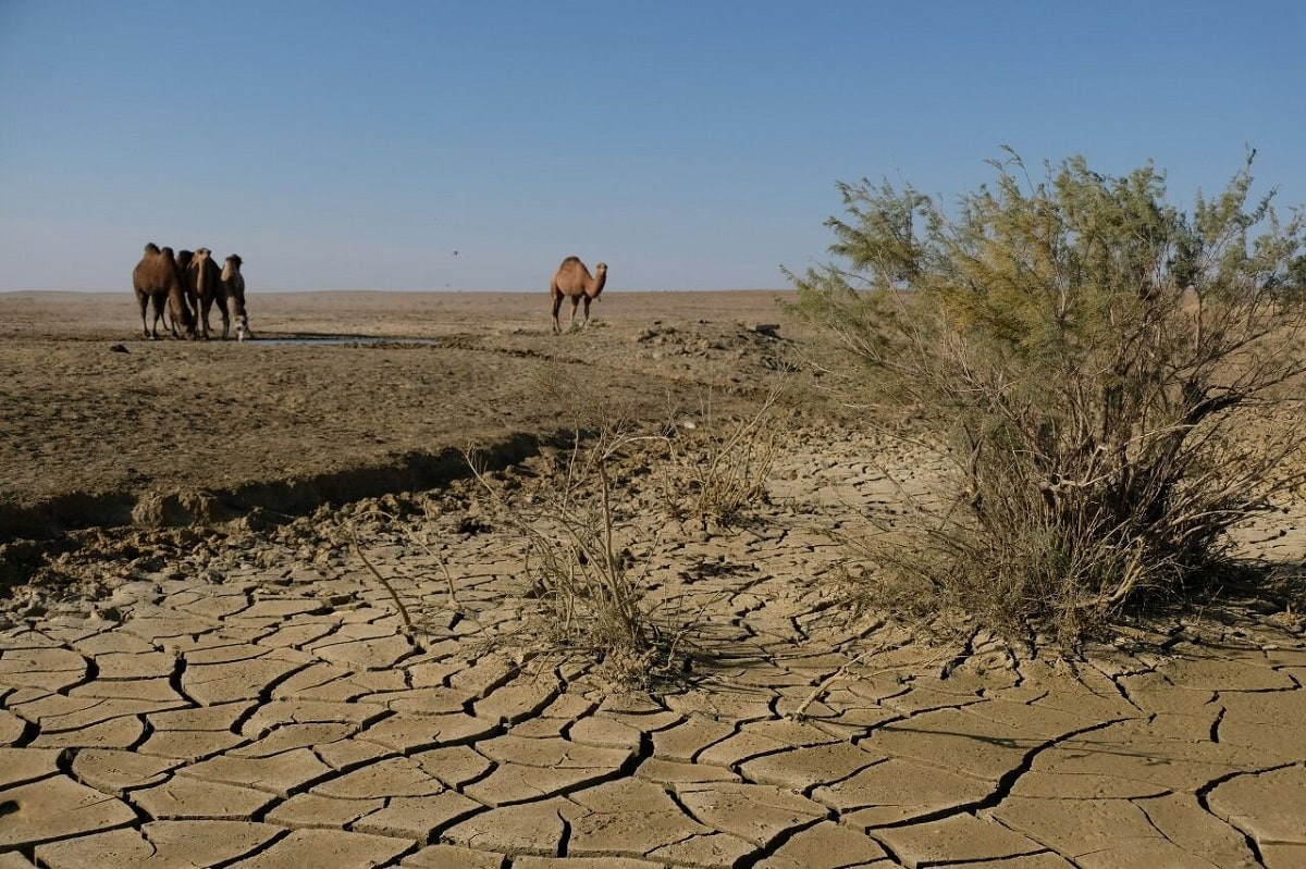 Где в Казахстане ожидается сильная засуха