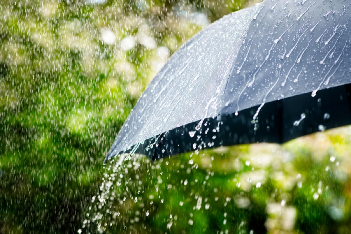 Дождь, гроза и сильный ветер: прогноз погоды на 8 августа  
