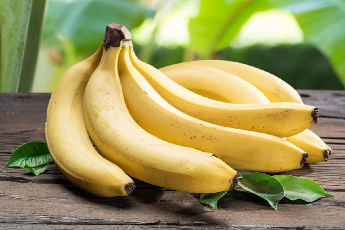 Қазақстанда алғаш рет банан өсіріле бастады