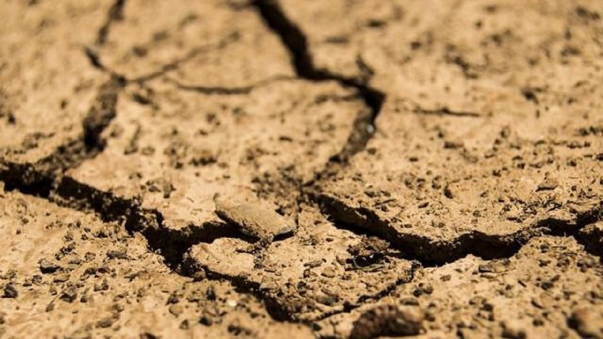 Дефицит воды и жара стали причинами убытков фермеров Жамбылской области