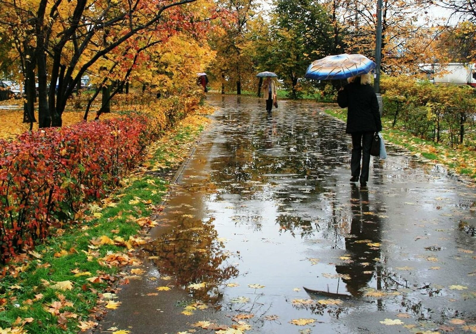 Прохладный сентябрь: в Казахстан пришла настоящая осень