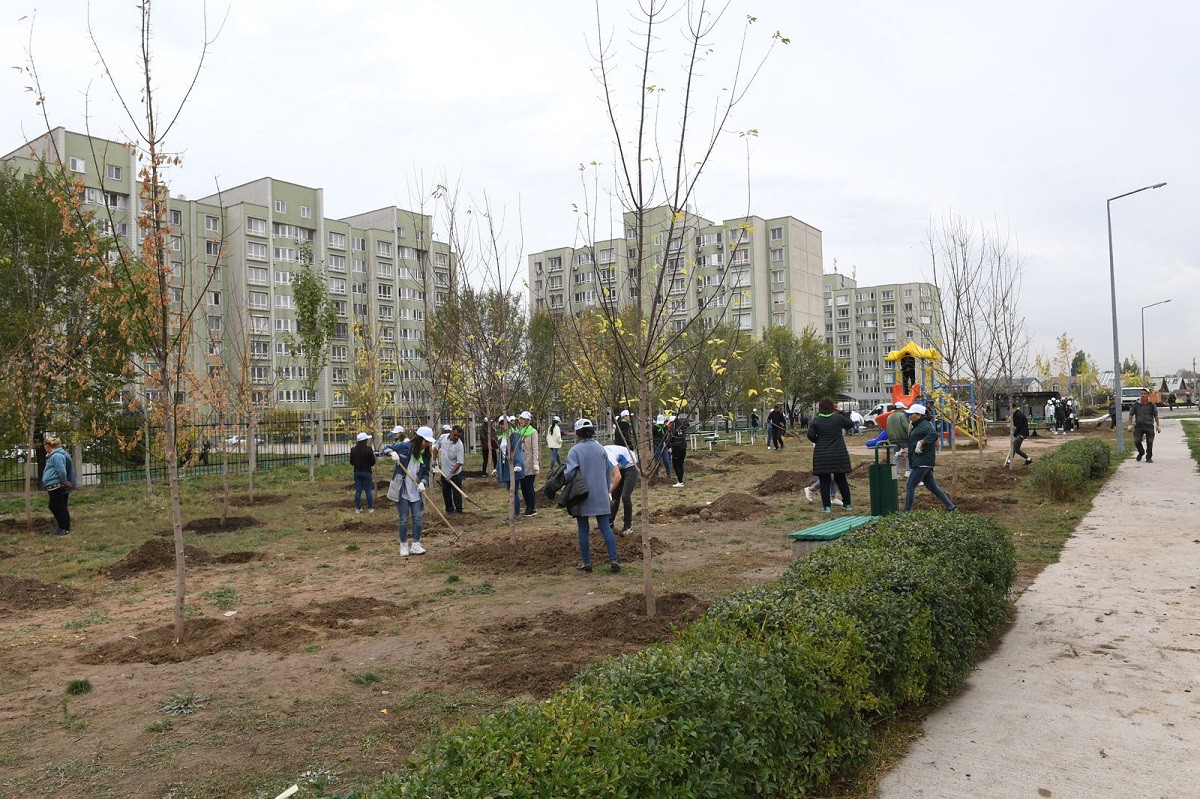Сколько деревьев высадят осенью в Алматы