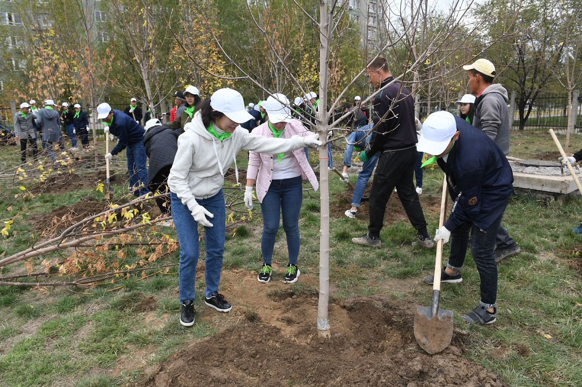 Эксперт: раньше в Алматы посадка деревьев шла вне генплана и хаотично