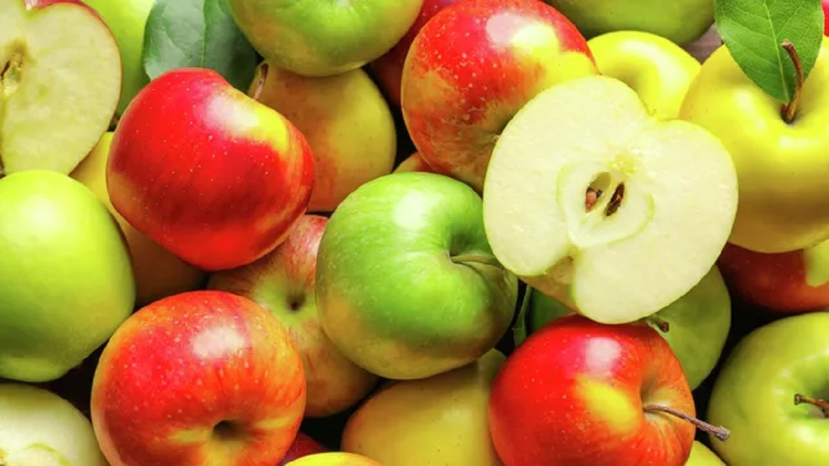 Сколько яблок привезут на фестиваль Apple Fest фермеры Алматинской области