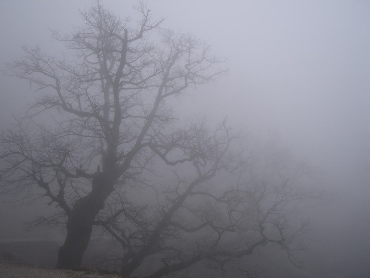 Гроза и туман: прогноз погоды на 1 октября