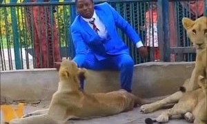 Божественная защита: кенийский пастор вошел в клетку со львицами