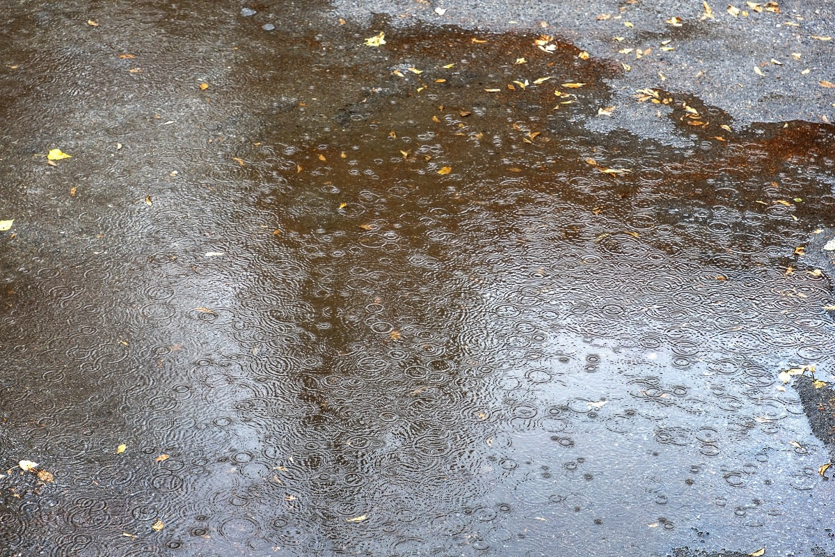 Гололед, дождь, метель, снег и туман: прогноз погоды на 28 октября