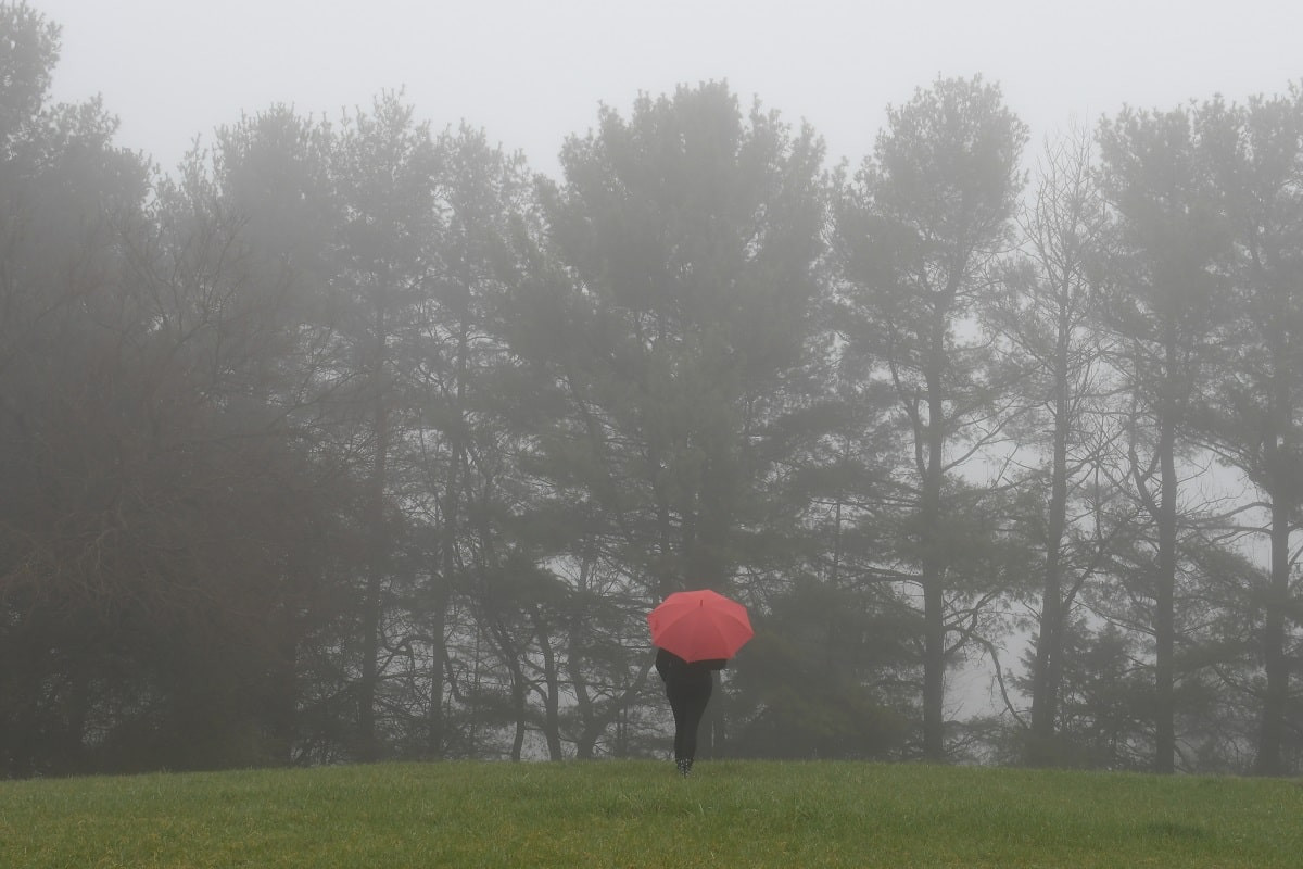 Гололед, ветер и туман: прогноз погоды на 5 ноября